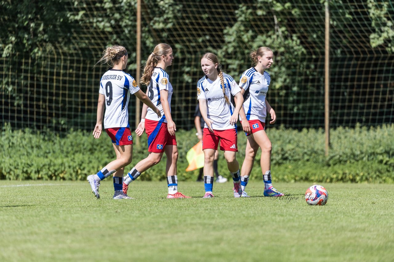 Bild 210 - wBJ Hamburger SV - VfL Wolfsburg : Ergebnis: 5:1
